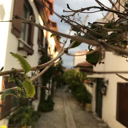 Pansiyon Silenos Boutique